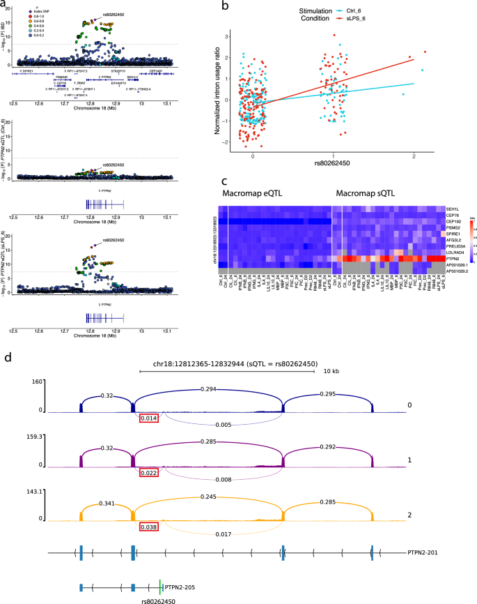 Fig. 6: Example of colocalisation between an IBD risk locus at 18p11.21 and an sQTL for PTPN2.