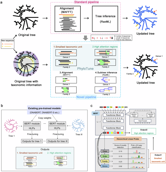 Fig. 1: Overview of the tree update process and PhyloTune methodology.