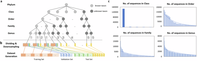 Fig. 7: Overview of the Plant dataset.