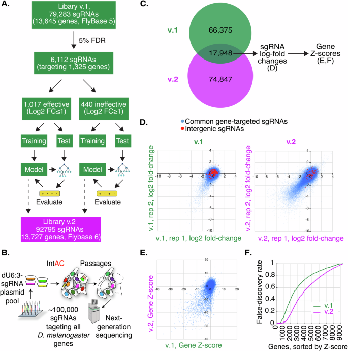 Fig. 2: IntAC and dU6:3 drive much of the performance increase in an updated Drosophila CRISPR screening library.