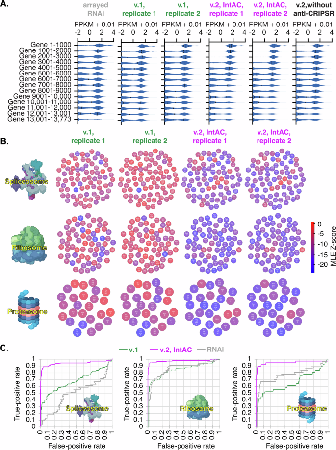 Fig. 3: Nearly complete genome-wide cell fitness gene assignment by IntAC.