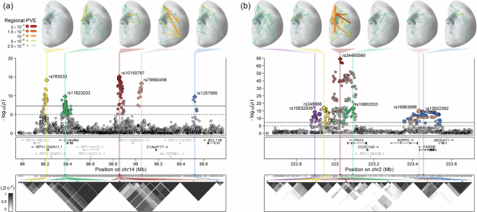 Fig. 2: Multiple independent lead SNPs within the same face-associated locus.