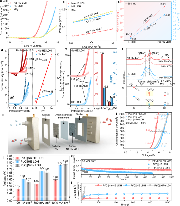 Fig. 4: Investigation of the OER performance and mechanism of Na-HE LDH.