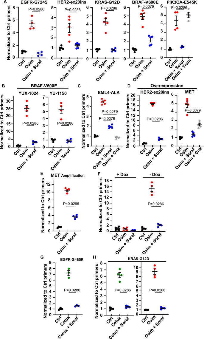 Fig. 2: Sorafenib specifically abolishes the selective advantage of cancer cells containing different clinically relevant mechanisms of resistance to EGFR inhibition.