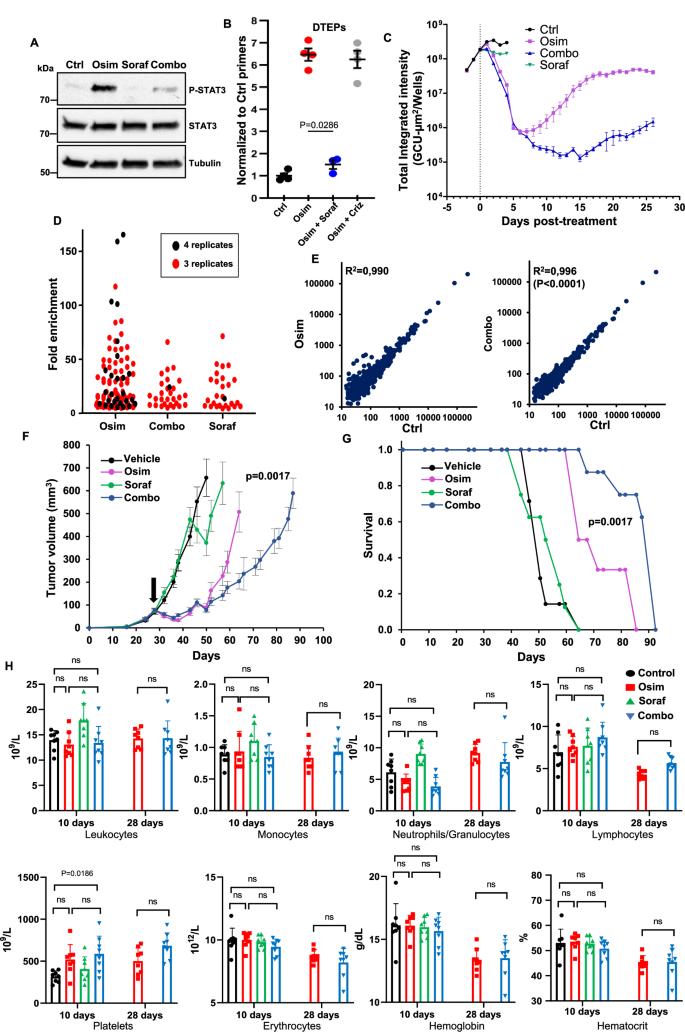 Fig. 8: Co-treatment with sorafenib inhibits osimertinib tolerant/persister cells.