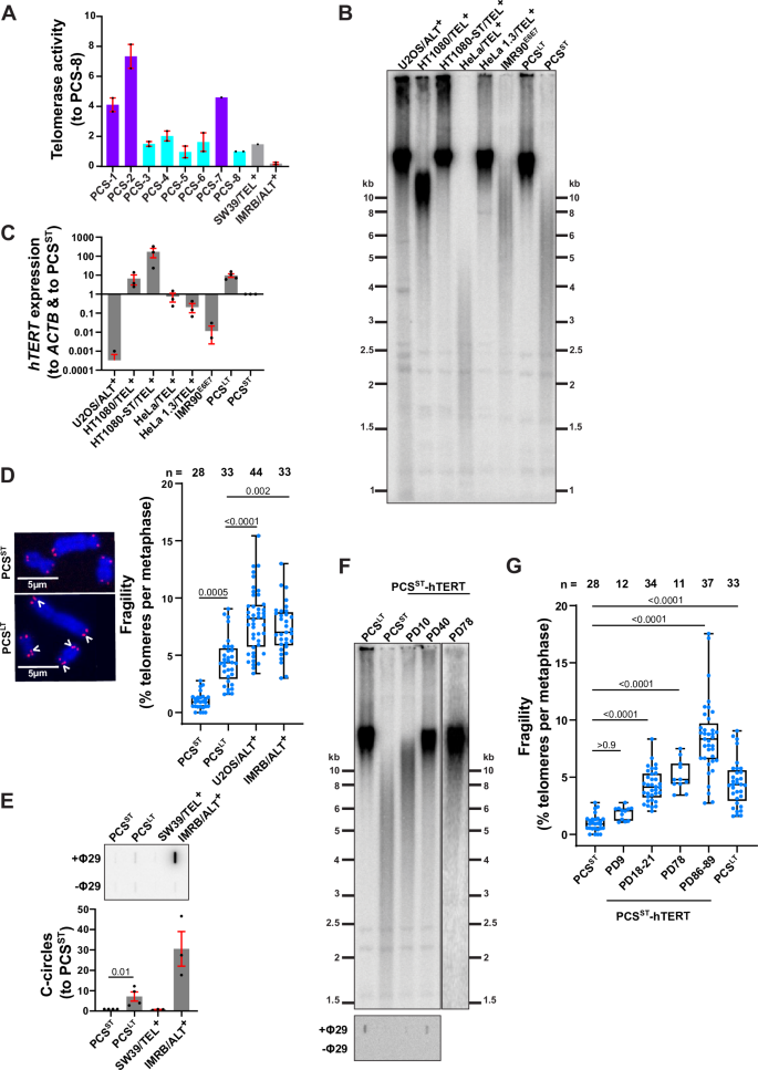 Fig. 1: Telomere fragility is associated with telomere length.