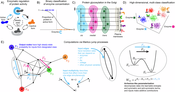 Fig. 1: Classification tasks performed by biochemical networks.