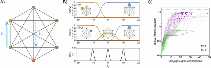Fig. 6: Optimizing mutual information recovers one-hot encodings and improves with greater input multiplicity.