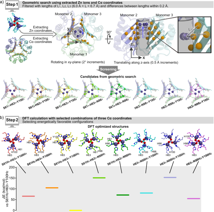 Fig. 2: Workflow for designing a trinuclear zinc complex in MIF.