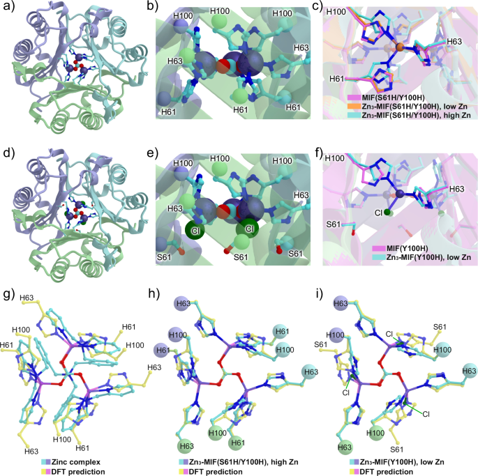 Fig. 3: Crystal-structure analysis of the designer tri-zinc enzyme in this study.