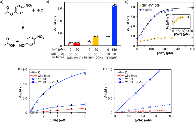 Fig. 5: Extrinsic hydrolytic activity of the designer tri-zinc enzyme.