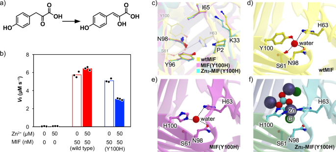 Fig. 6: Intrinsic tautomerase activity of the designer tri-zinc enzyme Zn3-MIF(Y100H).
