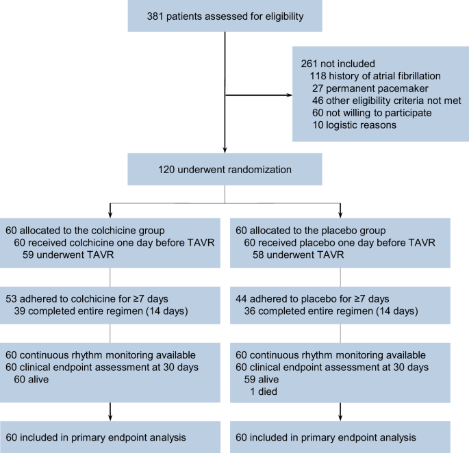 Fig. 1: Flow chart according to Consolidated Standards of Reporting Trials (CONSORT) statement.