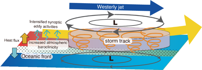Fig. 4: Atmospheric response to variability of sea surface temperature (SST) front.
