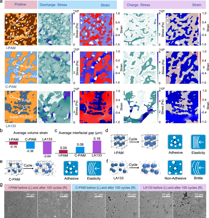 Fig. 5: Virtual simulations deciphering the stress and strain evolution in sulfur electrodes with various binders during the discharge–charge procedure.