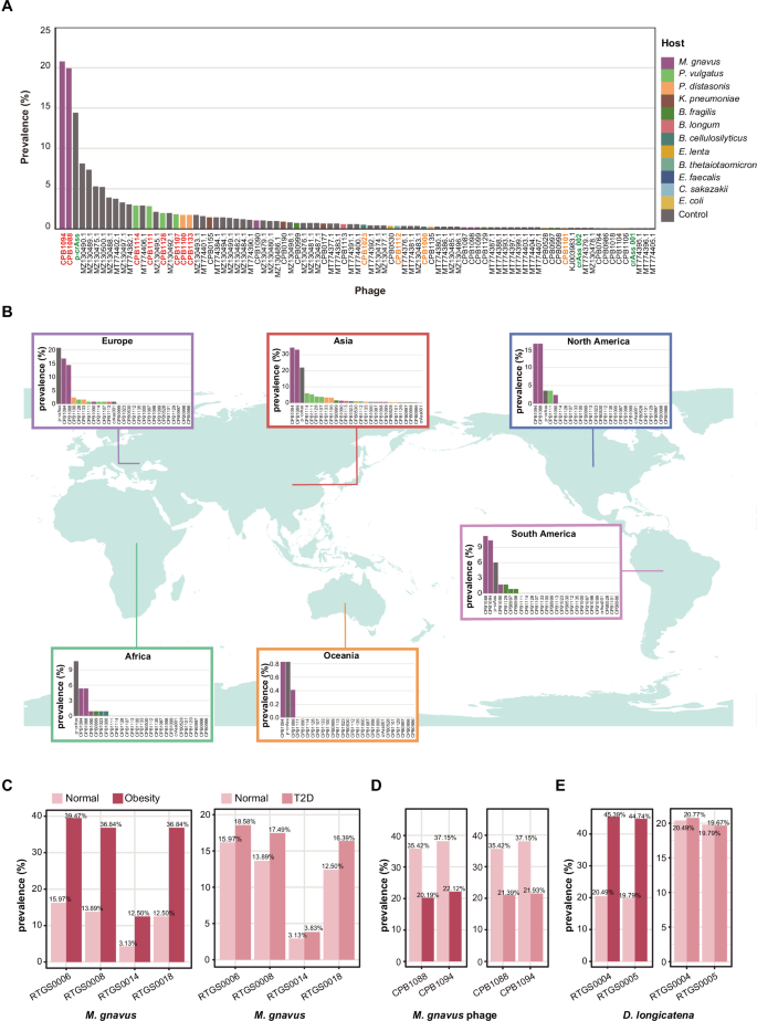 Fig. 5: Prevalence of GPB phages and selected host bacteria.