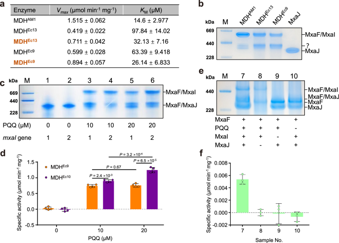 Fig. 3: Discovery and characterization of MxaF/MxaJ complex.