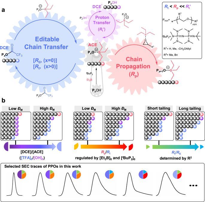 Fig. 1: Mechanism of ÐM-controlled ECT-ROP.