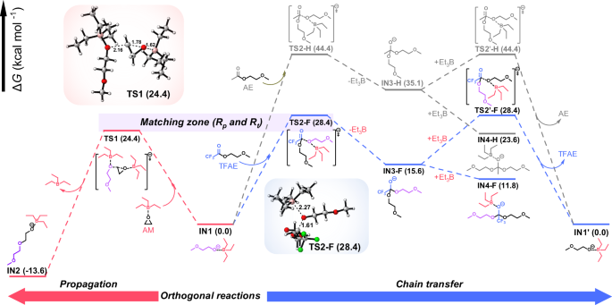 Fig. 4: Energy profile of the elementary reactions in ECT-ROP of EO.