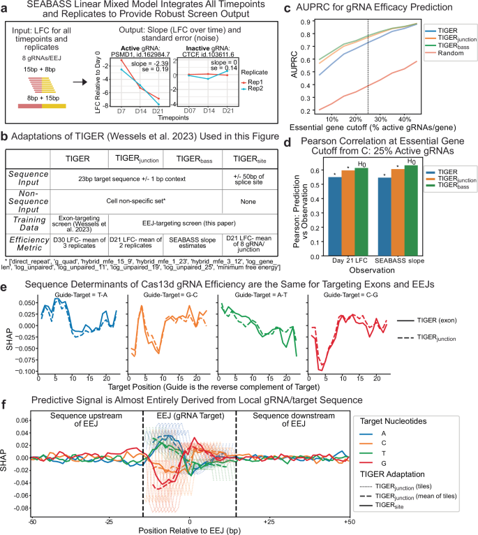 Fig. 2: Deep learning uncovers similar rules for gRNAs targeting EEJs and exons.