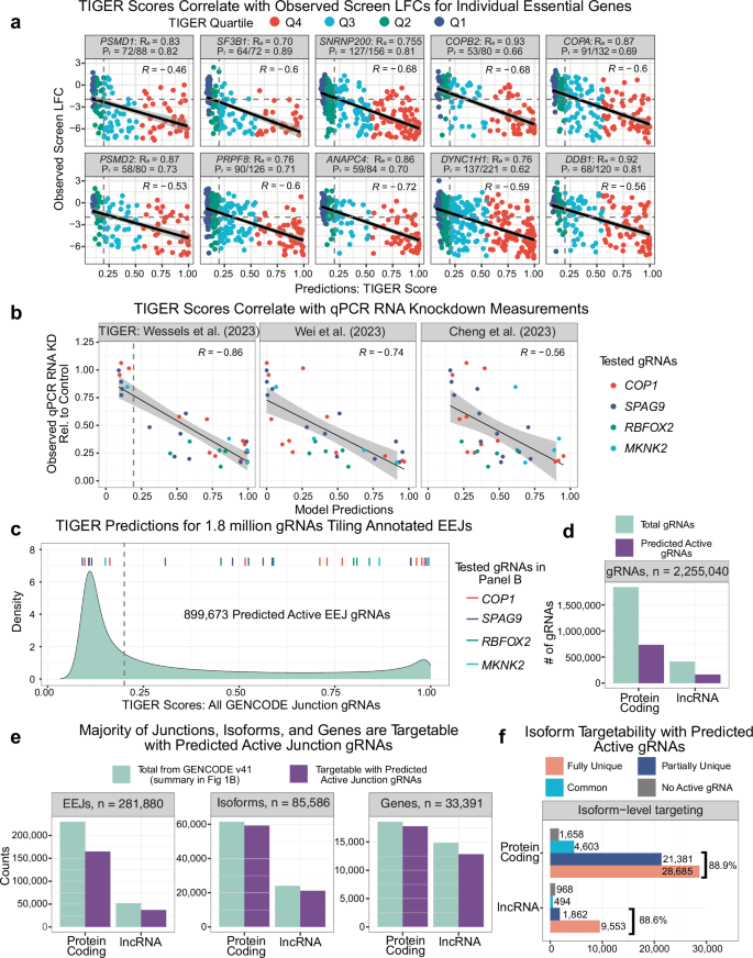 Fig. 5: Practical applicability of our unified EEJ-targeting strategy and computational tools.