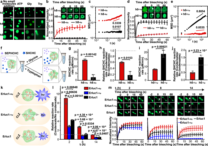 Fig. 6: Rescue of impaired enzymatic reactions in aged condensates via modulation of condensate aging.