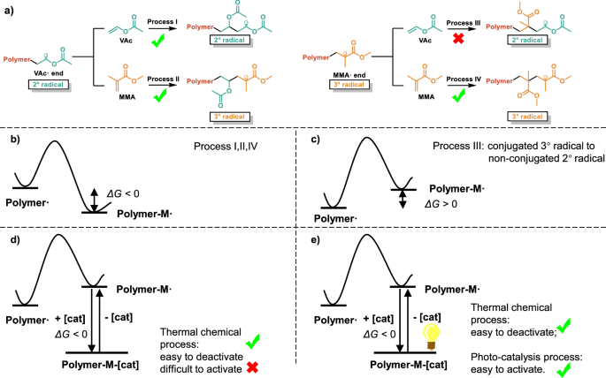 Fig. 1: The analysis of the VAc/MMA copolymerization process.