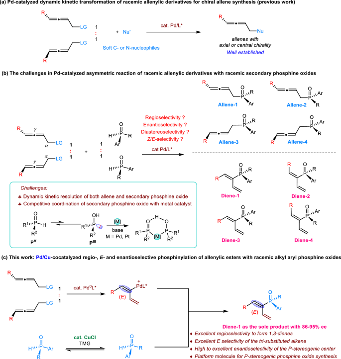 Fig. 1: Enantioselective reactions of allenylic derivatives with C-/N-nucleophiles and secondary phosphine oxides.