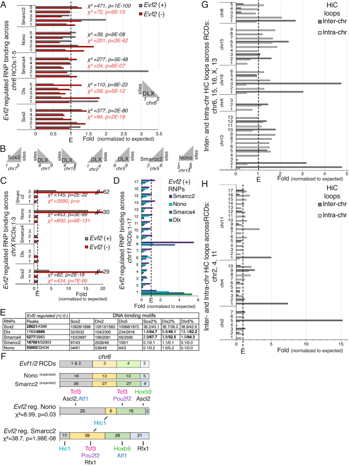 Fig. 7: Evf2 RNP regulation and HiC inter-chr and intra-chr loops across RCDs.