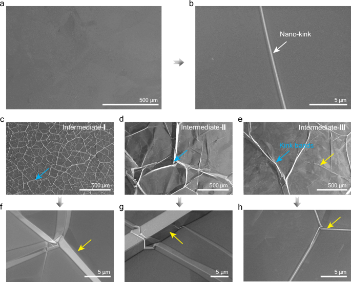 Fig. 2: Morphology of the mirror-like graphite film and the intermediates.