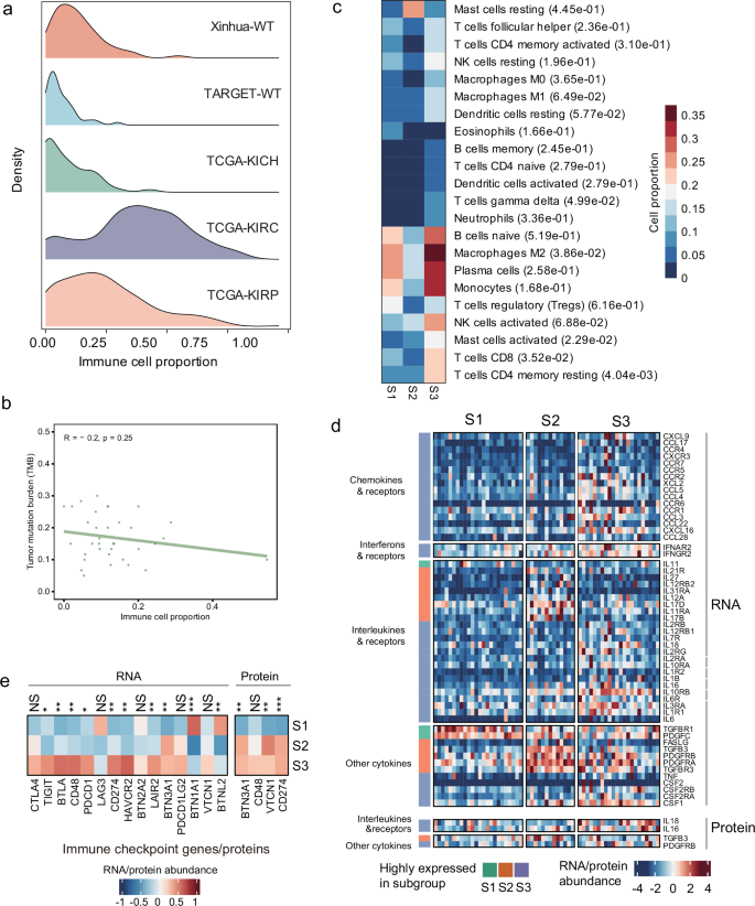 Fig. 6: Immuno-features of WT on mRNA and protein levels.
