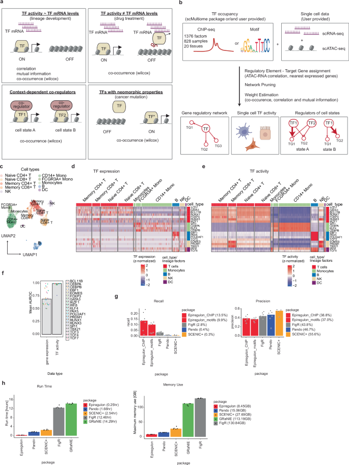 Fig. 1: Epiregulon constructs GRNs to infer regulator activity at the single-cell level.