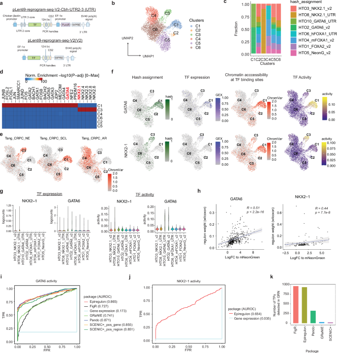 Fig. 5: Epiregulon identifies drivers of lineage reprogramming.
