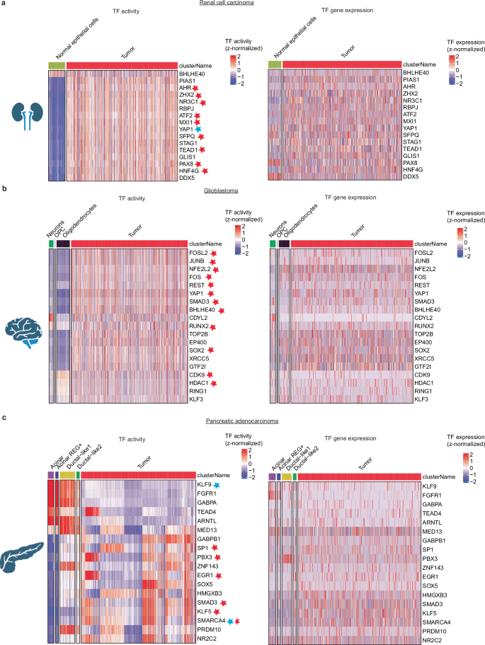 Fig. 7: Epiregulon predicts known and novel drivers of the cancer state from clinical samples.