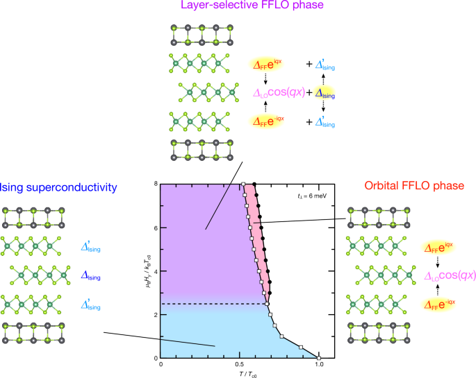 Discus Selective Pairing Techniques: Master Proven Breeding Secrets