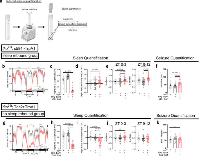 Fig. 3: Sleep loss associated with increased sleep drive exacerbates seizures.