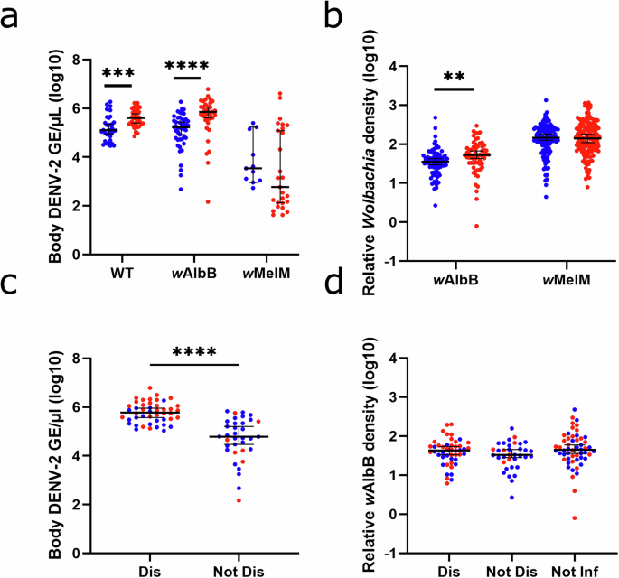 Fig. 2: Comparison of DENV-2 titers and relative Wolbachia densities at 7 dpi by feeding and dissemination status.