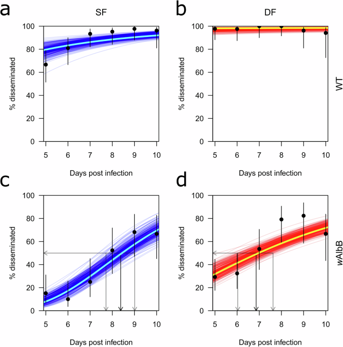 Fig. 4: Modeling of timing of dissemination in single and double-fed WT and wAlbB Wolbachia mosquitoes.