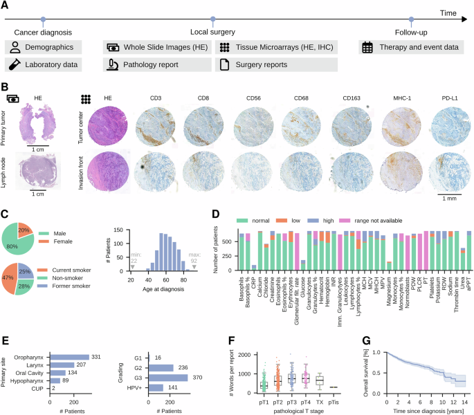 Fig. 1: Overview of the multimodal head and neck cancer dataset.