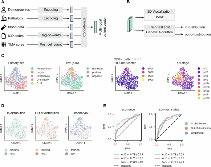 Fig. 2: Multimodal embeddings.