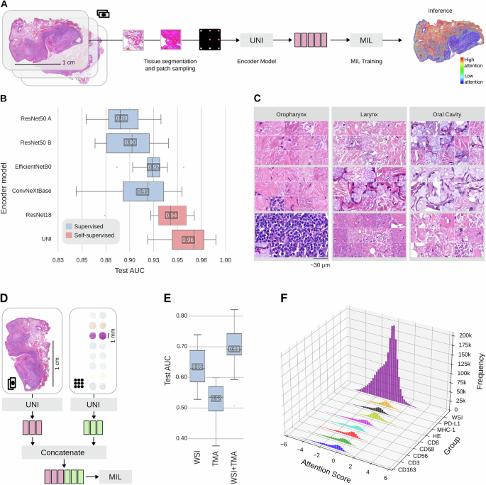 Fig. 3: Multimodal multiple instance learning allows the prediction of targets using imaging data.
