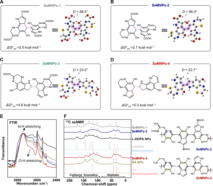 Fig. 3: Chemical structure of molecular engineered SeMNPs.
