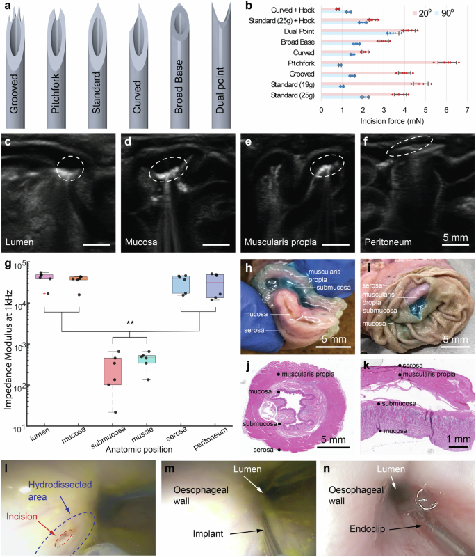 Fig. 3: Safety and efficacy testing of submucosal implantation tool.