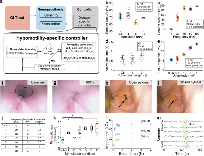 Fig. 4: Optimization of Electrical Stimulation for Oesophageal and Gastric Motility.
