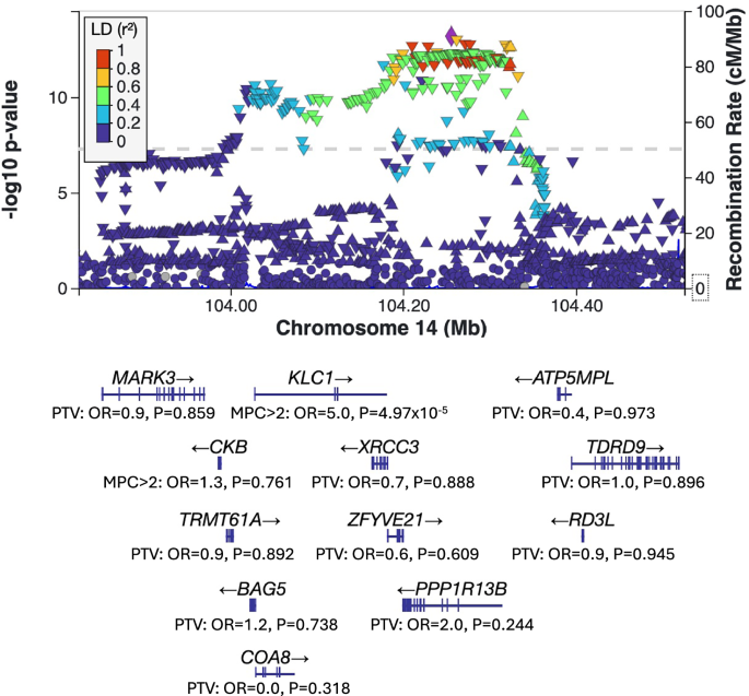 Fig. 2: Schizophrenia GWAS locus plot for KLC1.