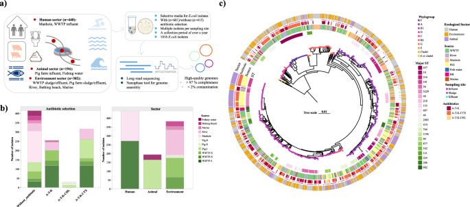 Fig. 1: Overview of sampling design, isolate diversity, and genomic reconstruction of urban E. coli isolates.