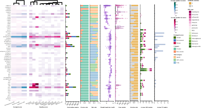 Fig. 4: Plasmid replicon distribution and associated genomic features across 1016 E. coli isolates from urban aquatic environments.