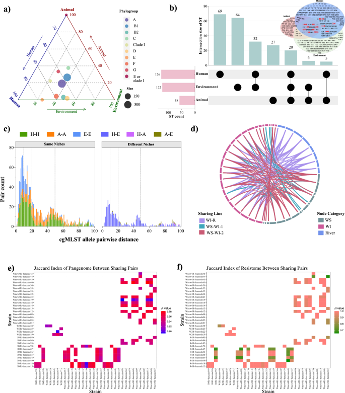 Fig. 5: Cross-sectoral sharing and genomic similarity of E. coli isolates across aquatic environments.