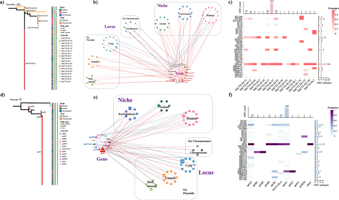 Fig. 6: Cross-sectoral dissemination and genomic context of high-risk ARGs.