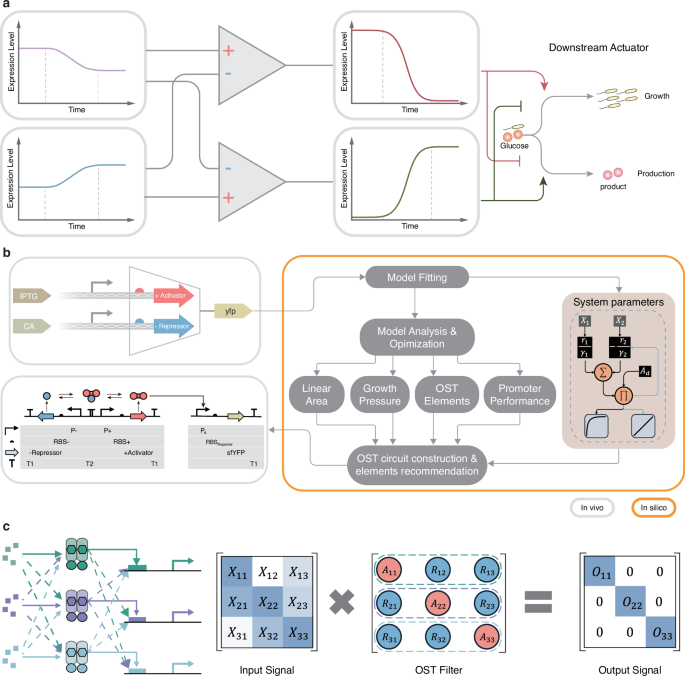 Fig. 1: Overview of the operational amplifier-based signal processing framework.